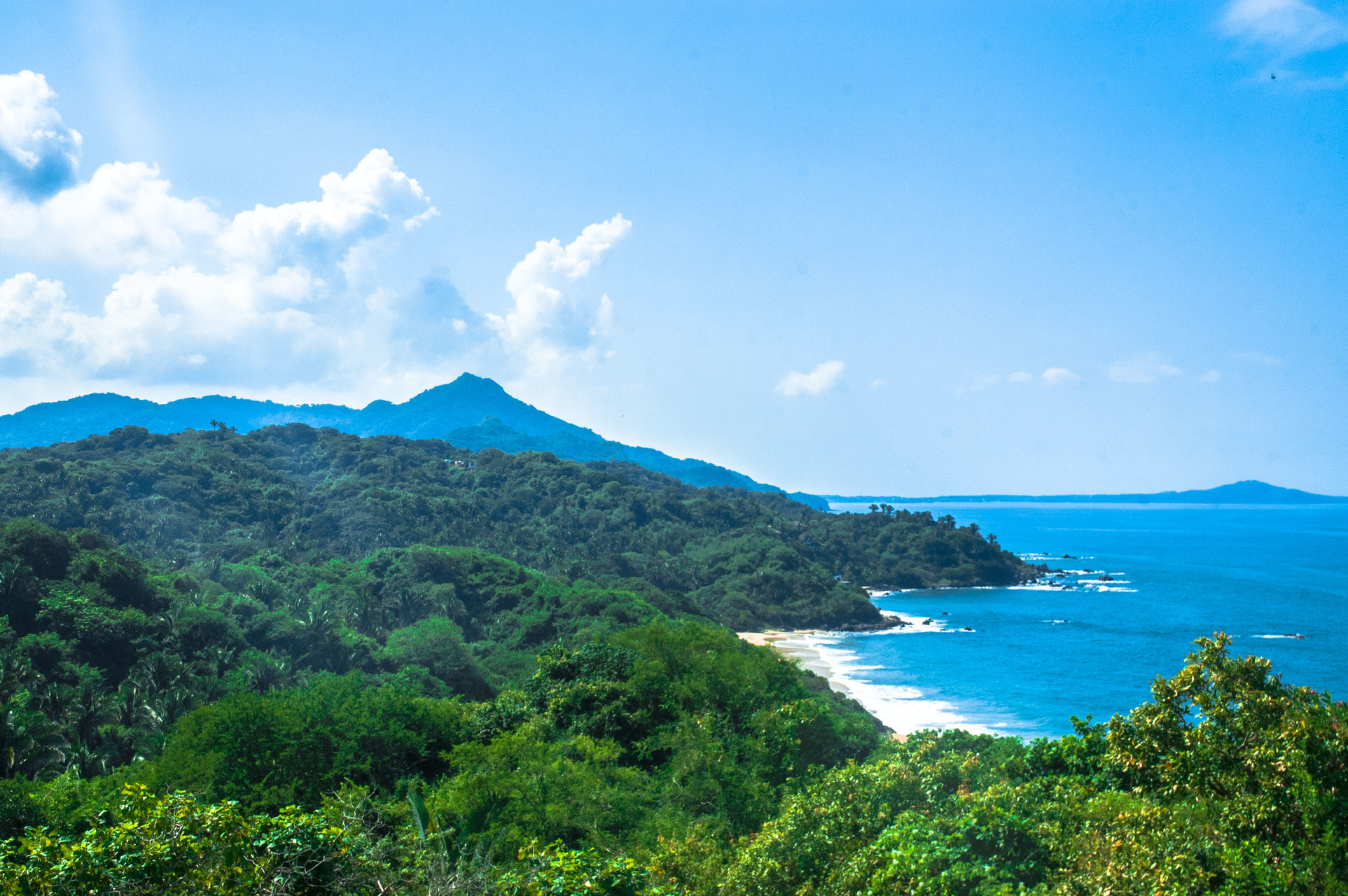 Jungle Hike